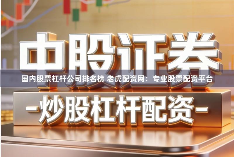 国内股票杠杆公司排名榜 老虎配资网:专业股票配资平台