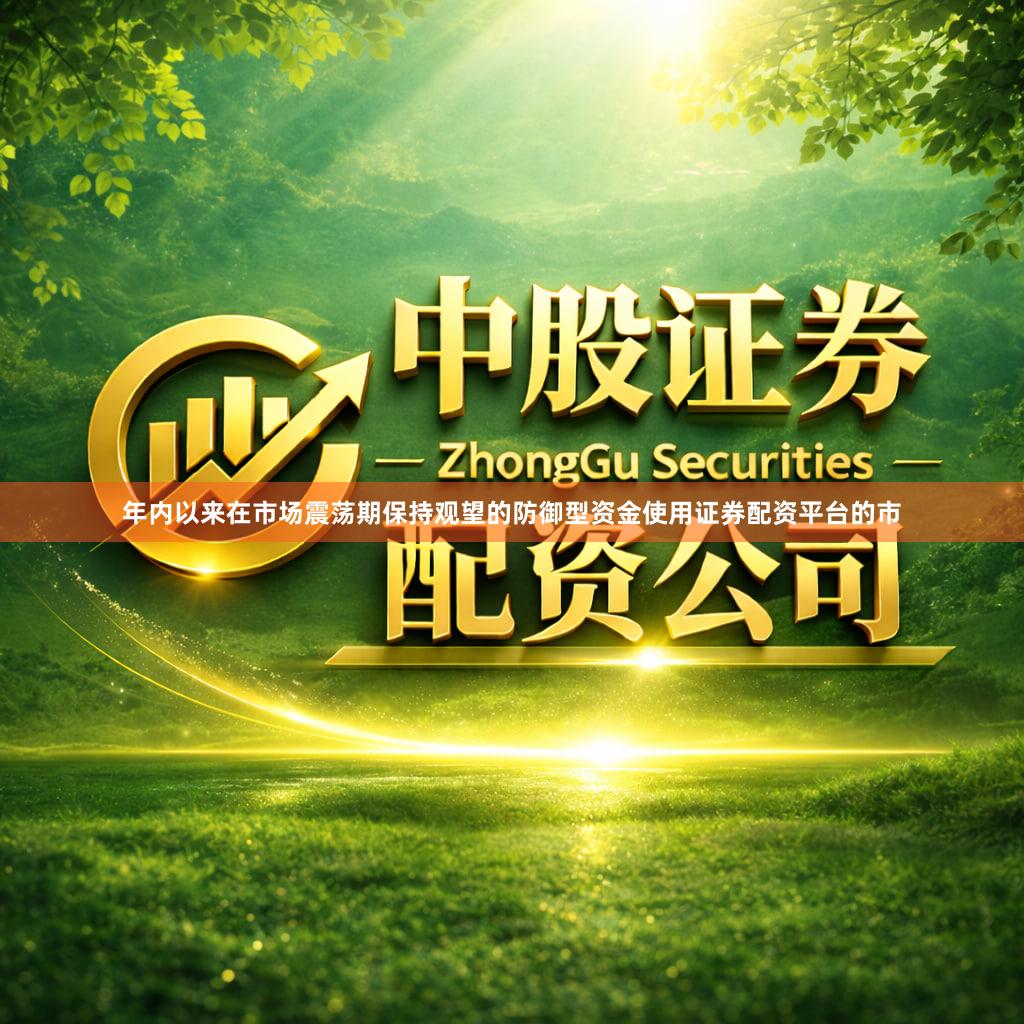 年内以来在市场震荡期保持观望的防御型资金使用证券配资平台的市