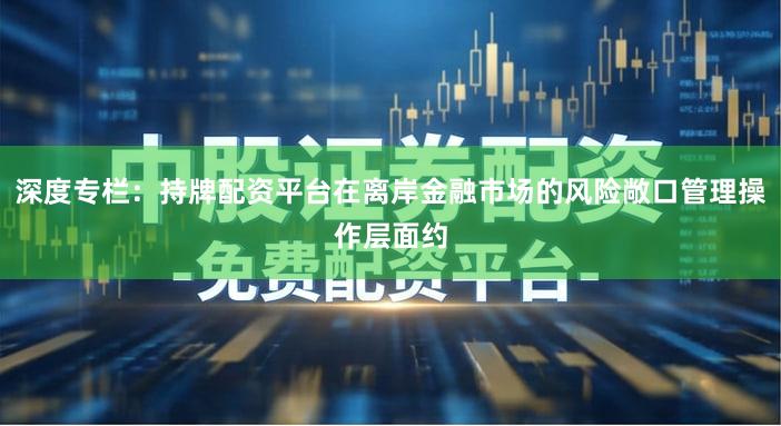 深度专栏:持牌配资平台在离岸金融市场的风险敞口管理操作层面约