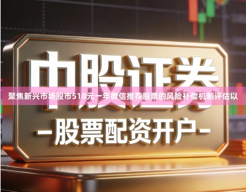 聚焦新兴市场股市518元一年微信推荐股票的风险补偿机制评估以