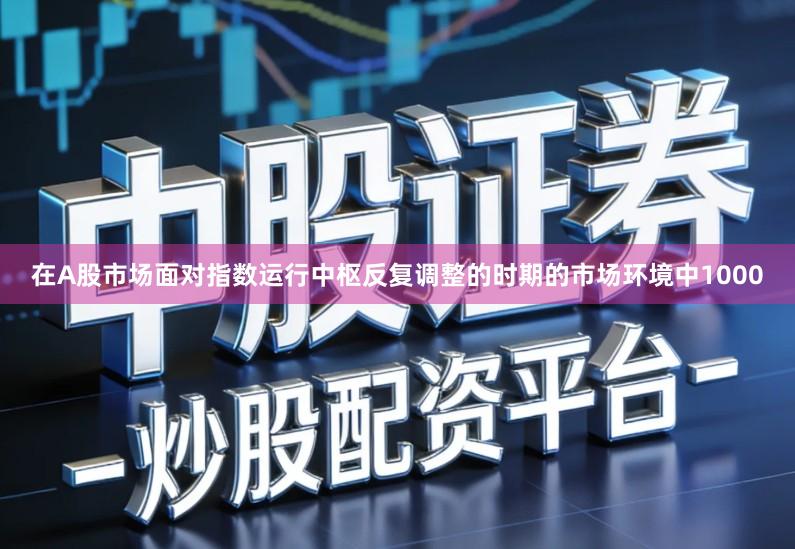 在A股市场面对指数运行中枢反复调整的时期的市场环境中1000